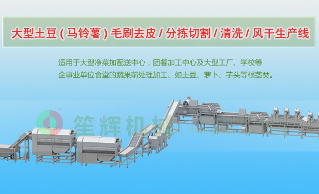 临安连续式土豆去皮清洗切割风干生产线